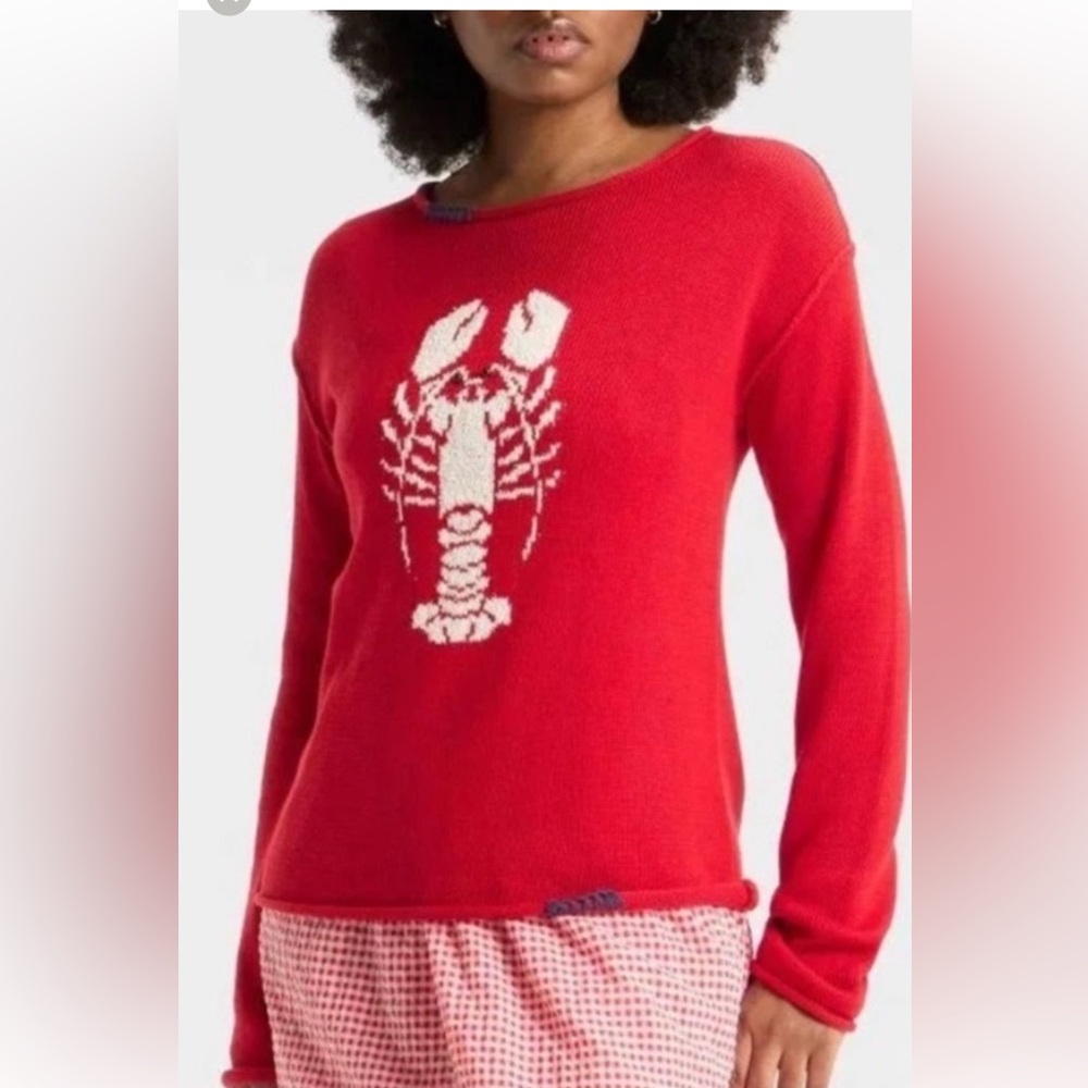 Wild fable lobster sweater